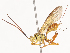  ( - CBG-A41837-H02)  @11 [ ] CreativeCommons - Attribution Share - Alike (2024) CBG Photography Group Centre for Biodiversity Genomics