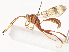  ( - CBG-A41838-C04)  @11 [ ] CreativeCommons - Attribution Share - Alike (2024) CBG Photography Group Centre for Biodiversity Genomics