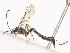  ( - CBG-A41838-E02)  @11 [ ] CreativeCommons - Attribution Share - Alike (2024) CBG Photography Group Centre for Biodiversity Genomics