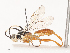  ( - CBG-A41838-F01)  @11 [ ] CreativeCommons - Attribution Share - Alike (2024) CBG Photography Group Centre for Biodiversity Genomics
