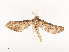  ( - CBG-A41839-A02)  @11 [ ] CreativeCommons - Attribution Share - Alike (2024) CBG Photography Group Centre for Biodiversity Genomics