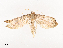  ( - CBG-A41839-A03)  @11 [ ] CreativeCommons - Attribution Share - Alike (2024) CBG Photography Group Centre for Biodiversity Genomics