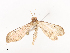  ( - CBG-A41839-B03)  @11 [ ] CreativeCommons - Attribution Share - Alike (2024) CBG Photography Group Centre for Biodiversity Genomics