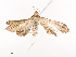  ( - CBG-A41839-B05)  @11 [ ] CreativeCommons - Attribution Share - Alike (2024) CBG Photography Group Centre for Biodiversity Genomics