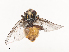  ( - CBG-A41839-G01)  @11 [ ] CreativeCommons - Attribution Share - Alike (2024) CBG Photography Group Centre for Biodiversity Genomics