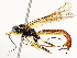  ( - CBG-A54501-F02)  @11 [ ] CreativeCommons - Attribution Share - Alike (2024) CBG Photography Group Centre for Biodiversity Genomics