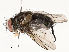  ( - CBG-A54501-F09)  @11 [ ] CreativeCommons - Attribution Share - Alike (2024) CBG Photography Group Centre for Biodiversity Genomics