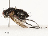  ( - CBG-A54501-F12)  @11 [ ] CreativeCommons - Attribution Share - Alike (2024) CBG Photography Group Centre for Biodiversity Genomics
