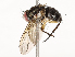  ( - CBG-A54503-F03)  @11 [ ] CreativeCommons - Attribution Share - Alike (2024) CBG Photography Group Centre for Biodiversity Genomics