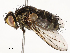  ( - CBG-A58562-D03)  @11 [ ] CreativeCommons - Attribution Share - Alike (2024) CBG Photography Group Centre for Biodiversity Genomics