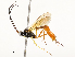  ( - CBG-A58563-F04)  @11 [ ] CreativeCommons - Attribution Share - Alike (2024) CBG Photography Group Centre for Biodiversity Genomics