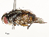  ( - CBG-A54416-E09)  @11 [ ] CreativeCommons - Attribution Share - Alike (2024) CBG Photography Group Centre for Biodiversity Genomics