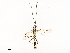  ( - CBG-A54416-H03)  @11 [ ] CreativeCommons - Attribution Share - Alike (2024) CBG Photography Group Centre for Biodiversity Genomics