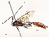  ( - CBG-A58572-H07)  @11 [ ] CreativeCommons - Attribution Share - Alike (2024) CBG Photography Group Centre for Biodiversity Genomics