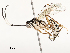  ( - CBG-A58573-A07)  @11 [ ] CreativeCommons - Attribution Share - Alike (2024) CBG Photography Group Centre for Biodiversity Genomics