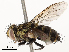  ( - CBG-A58574-D04)  @11 [ ] CreativeCommons - Attribution Share - Alike (2024) CBG Photography Group Centre for Biodiversity Genomics
