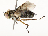  ( - CBG-A58575-B11)  @11 [ ] CreativeCommons - Attribution Share - Alike (2024) CBG Photography Group Centre for Biodiversity Genomics