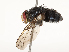  ( - CBG-A58576-D12)  @11 [ ] CreativeCommons - Attribution Share - Alike (2024) CBG Photography Group Centre for Biodiversity Genomics