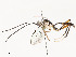  ( - CBG-A58625-E02)  @11 [ ] CreativeCommons - Attribution Share - Alike (2024) CBG Photography Group Centre for Biodiversity Genomics