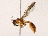  ( - BIOUG62728-D08)  @11 [ ] CreativeCommons - Attribution (2022) CBG Photography Group Centre for Biodiversity Genomics