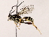  ( - BIOUG62728-D11)  @13 [ ] CreativeCommons - Attribution (2022) CBG Photography Group Centre for Biodiversity Genomics
