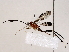  ( - BIOUG62728-E03)  @13 [ ] CreativeCommons - Attribution (2022) CBG Photography Group Centre for Biodiversity Genomics