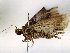  ( - BIOUG73025-B05)  @11 [ ] CreativeCommons - Attribution (2021) CBG Photography Group Centre for Biodiversity Genomics