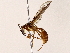  ( - BIOUG73025-E06)  @11 [ ] CreativeCommons - Attribution (2021) CBG Photography Group Centre for Biodiversity Genomics
