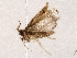  ( - BIOUG73025-F02)  @11 [ ] CreativeCommons - Attribution (2021) CBG Photography Group Centre for Biodiversity Genomics