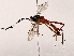  (ichMalaise01 Malaise3570 - BIOUG73025-F12)  @11 [ ] CreativeCommons - Attribution (2021) CBG Photography Group Centre for Biodiversity Genomics