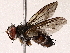  ( - BIOUG73026-B11)  @11 [ ] CreativeCommons - Attribution (2021) CBG Photography Group Centre for Biodiversity Genomics