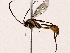  ( - BIOUG73026-F08)  @11 [ ] CreativeCommons - Attribution (2021) CBG Photography Group Centre for Biodiversity Genomics