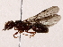  ( - BIOUG73026-G09)  @13 [ ] CreativeCommons - Attribution (2021) CBG Photography Group Centre for Biodiversity Genomics
