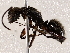  ( - BIOUG73026-H01)  @11 [ ] CreativeCommons - Attribution (2021) CBG Photography Group Centre for Biodiversity Genomics