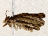  ( - BIOUG73027-H04)  @11 [ ] CreativeCommons - Attribution (2022) CBG Photography Group Centre for Biodiversity Genomics