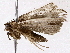  ( - BIOUG73028-A09)  @11 [ ] CreativeCommons - Attribution (2022) CBG Photography Group Centre for Biodiversity Genomics