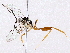  ( - BIOUG73028-F06)  @13 [ ] CreativeCommons - Attribution (2022) CBG Photography Group Centre for Biodiversity Genomics
