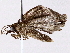  ( - BIOUG73028-G05)  @11 [ ] CreativeCommons - Attribution (2022) CBG Photography Group Centre for Biodiversity Genomics