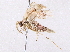 ( - BIOUG73028-G08)  @11 [ ] CreativeCommons - Attribution (2022) CBG Photography Group Centre for Biodiversity Genomics