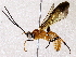  ( - BIOUG73028-H06)  @11 [ ] CreativeCommons - Attribution (2022) CBG Photography Group Centre for Biodiversity Genomics