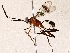  ( - BIOUG73029-B04)  @11 [ ] CreativeCommons - Attribution (2022) CBG Photography Group Centre for Biodiversity Genomics