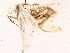  ( - BIOUG73029-B12)  @11 [ ] CreativeCommons - Attribution (2022) CBG Photography Group Centre for Biodiversity Genomics