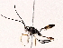  ( - BIOUG73029-C12)  @11 [ ] CreativeCommons - Attribution (2022) CBG Photography Group Centre for Biodiversity Genomics