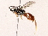  ( - BIOUG73029-E10)  @11 [ ] CreativeCommons - Attribution (2022) CBG Photography Group Centre for Biodiversity Genomics