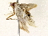  ( - BIOUG73030-A06)  @11 [ ] CreativeCommons - Attribution (2022) CBG Photography Group Centre for Biodiversity Genomics