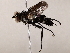  ( - BIOUG73647-G06)  @11 [ ] CreativeCommons - Attribution (2021) CBG Photography Group Centre for Biodiversity Genomics