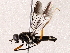  ( - BIOUG73647-G10)  @11 [ ] CreativeCommons - Attribution (2021) CBG Photography Group Centre for Biodiversity Genomics
