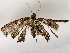  ( - BIOUG73648-B08)  @11 [ ] CreativeCommons - Attribution (2021) CBG Photography Group Centre for Biodiversity Genomics