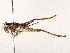  ( - BIOUG73648-F07)  @11 [ ] CreativeCommons - Attribution (2021) CBG Photography Group Centre for Biodiversity Genomics
