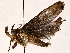  ( - BIOUG73649-A01)  @11 [ ] CreativeCommons - Attribution (2021) CBG Photography Group Centre for Biodiversity Genomics